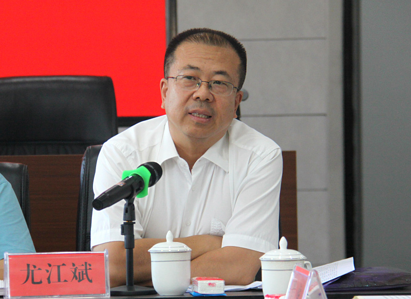 自治区党委统战部常务副部长吴红展向民主党派新疆区委会机关全体干部传达习近平总书记视察新疆重要讲话精神 (4).jpg