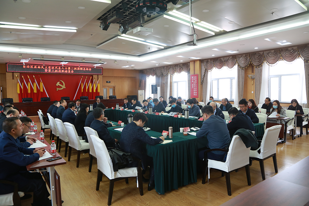 自治区党委统战部召开自治区层面民主党派代表人士第二批挂职总结会暨第三批挂职行前动员会.png