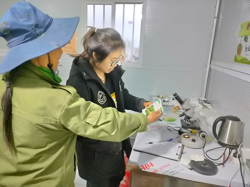 农户送花粉待检测.jpg