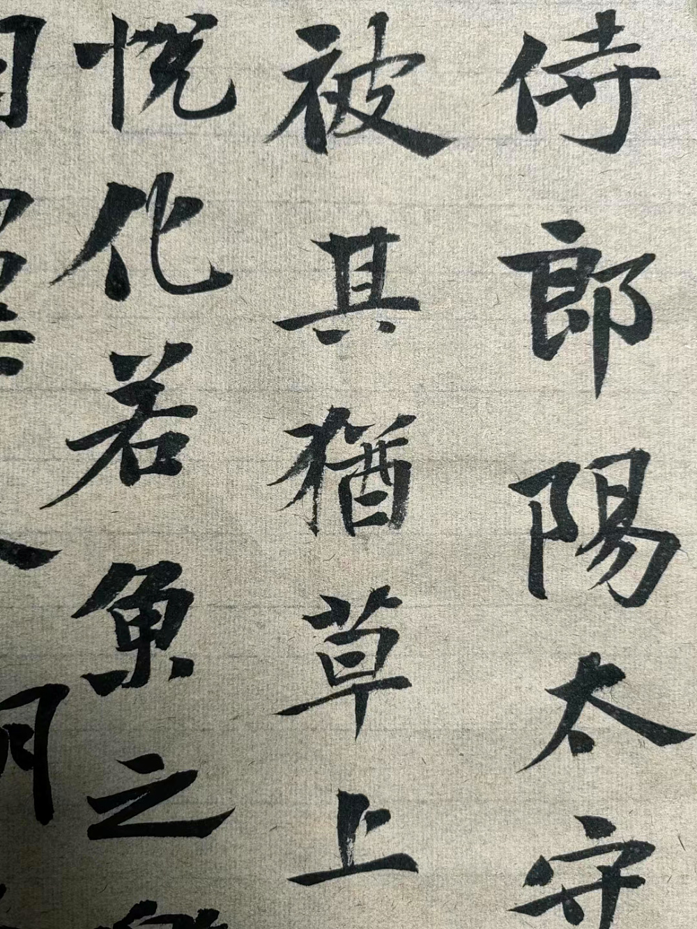 图片8.jpg