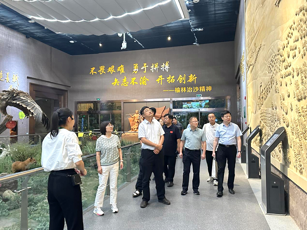 图片13.jpg