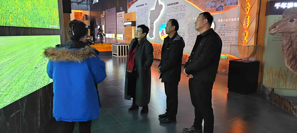 图片12.jpg